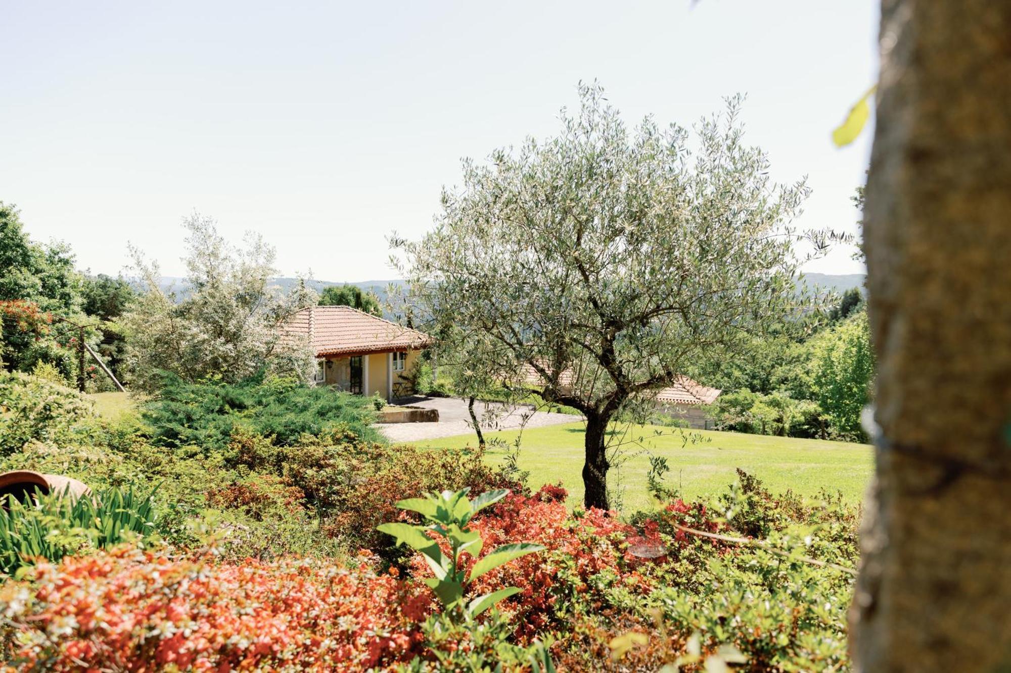 The Fox House - Private Villa & Nature São Pedro do Sul Exteriér fotografie